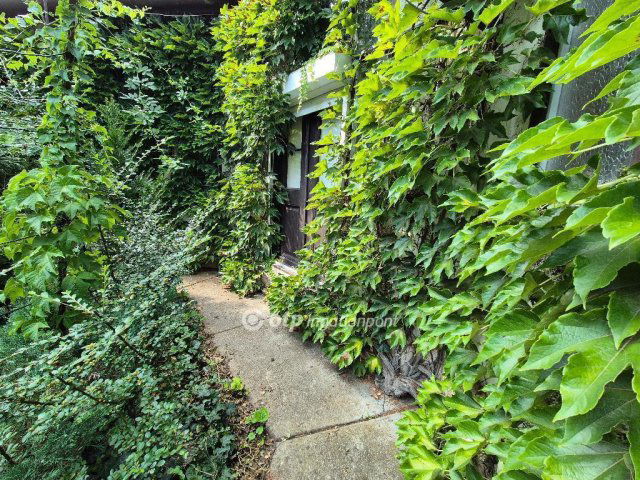 Eladó családi ház, Szentesen 54.9 M Ft, 4 szobás