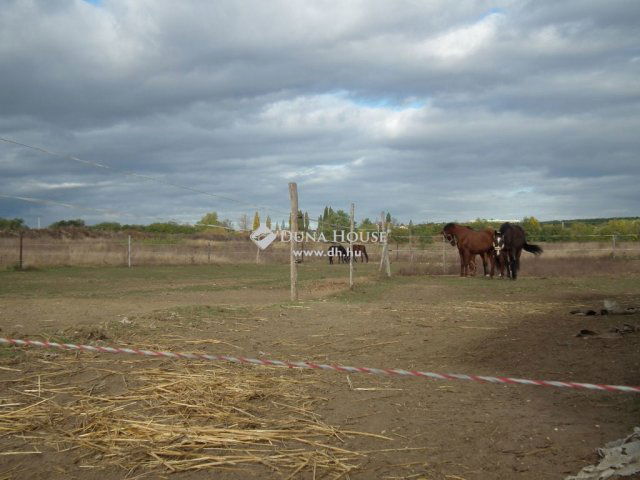 Eladó mezogazdasagi ingatlan, Nagytarcsán 99 M Ft, 1 szobás