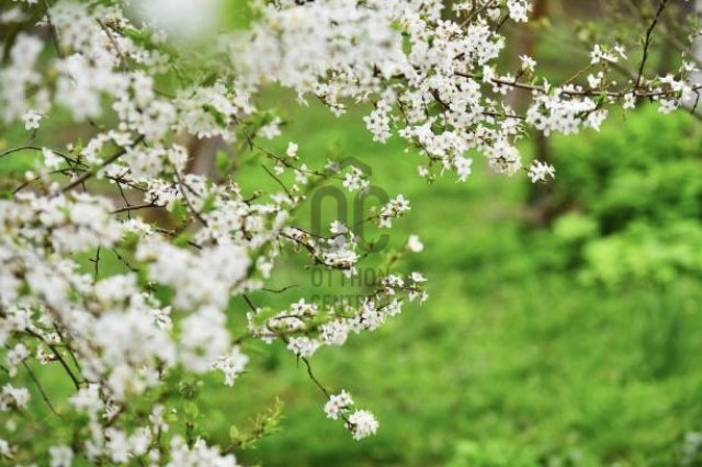 Eladó telek, Nagykovácsiban 68 M Ft / költözzbe.hu