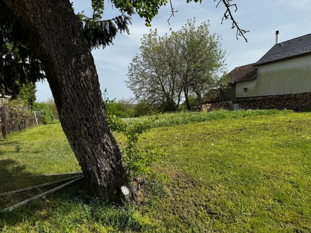 Eladó telek, Kustánszegen 3.5 M Ft / költözzbe.hu