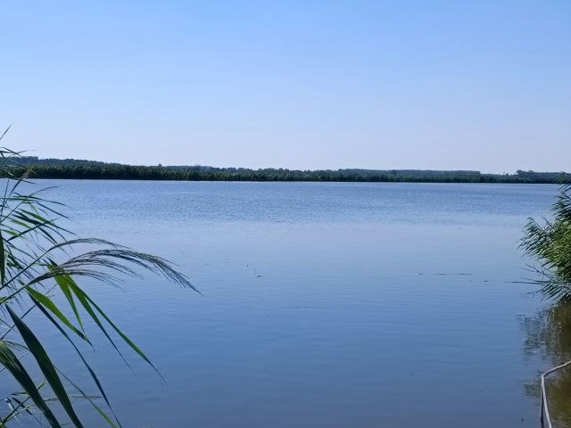 Eladó mezogazdasagi ingatlan, Tiszafüreden 1600 M Ft