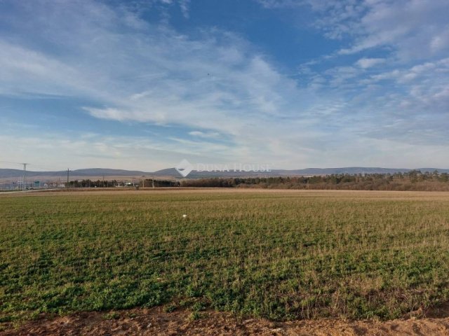 Eladó ipari ingatlan, Veszprémben 613.47 M Ft