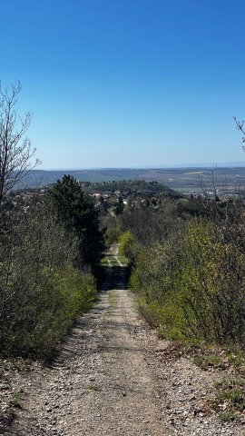 Eladó telek, Pécsett 19.9 M Ft / költözzbe.hu
