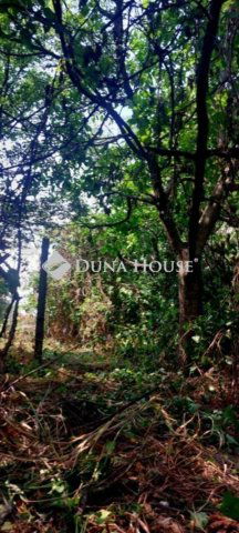 Eladó családi ház, Pécelen 65 M Ft, 4 szobás