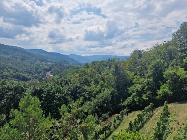 Eladó telek, Zebegényben 39 M Ft / költözzbe.hu