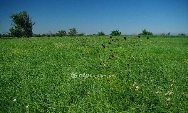 Eladó mezogazdasagi ingatlan, Székesfehérvárott 110 M Ft