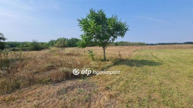 Eladó mezogazdasagi ingatlan, Szabadszálláson 6.4 M Ft