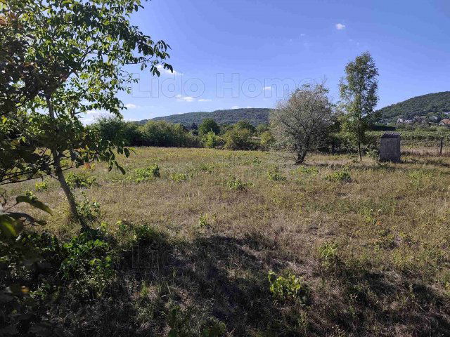 Eladó telek, Csopakon 85 M Ft / költözzbe.hu