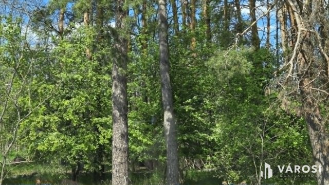 Eladó mezogazdasagi ingatlan, Debrecenben 7.99 M Ft