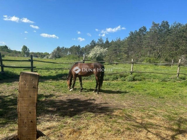 Eladó mezogazdasagi ingatlan, Kerepesen 75 M Ft, 3 szobás