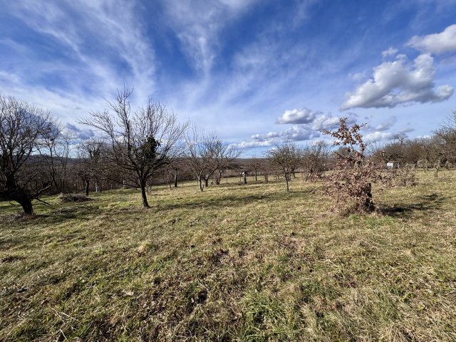 Eladó telek, Zalaegerszegen 24 M Ft / költözzbe.hu