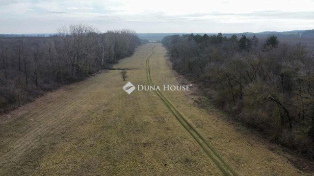 Eladó mezogazdasagi ingatlan, Pakson 230 M Ft