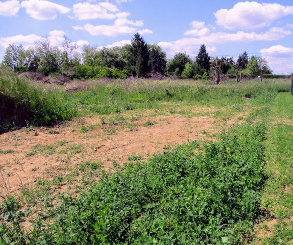 Eladó telek, Vépen 18.49 M Ft / költözzbe.hu