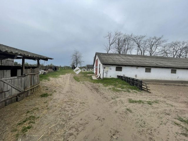 Eladó mezogazdasagi ingatlan, Domaszéken 160 M Ft