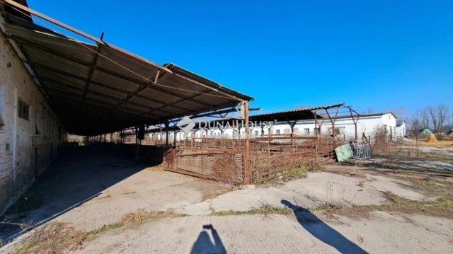 Eladó mezogazdasagi ingatlan, Hódmezővásárhelyen 59.9 M Ft