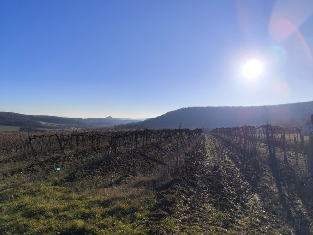 Eladó mezogazdasagi ingatlan, Balatoncsicsón 4.6 M Ft