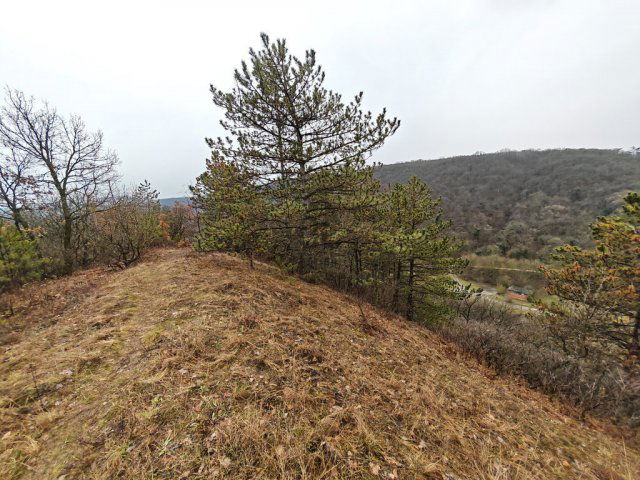 Eladó telek, Kincsesbányán 49 M Ft / költözzbe.hu