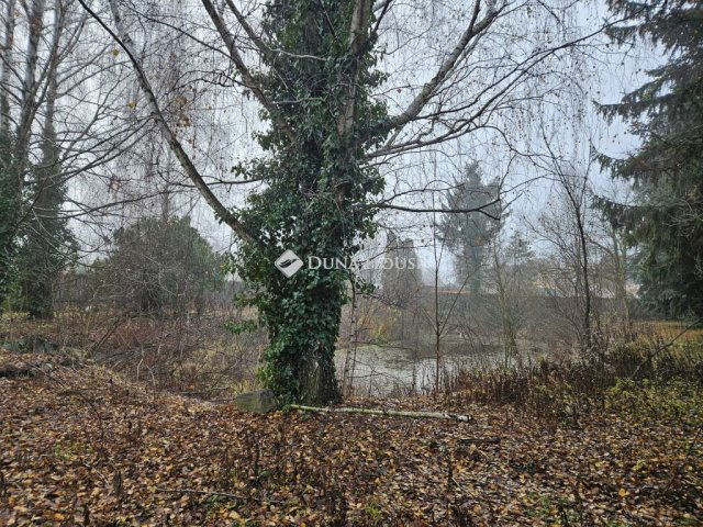 Eladó családi ház, Abdaon, Bécsi utcában 90 M Ft, 6 szobás