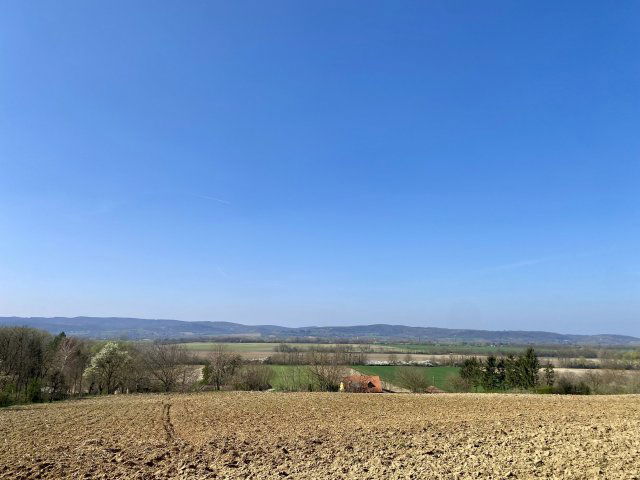 Eladó családi ház, Zalaszentgróton 39 M Ft, 3 szobás