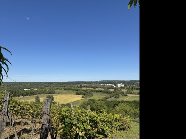 Eladó nyaraló, Zalaszentgróton 13.8 M Ft, 1+1 szobás