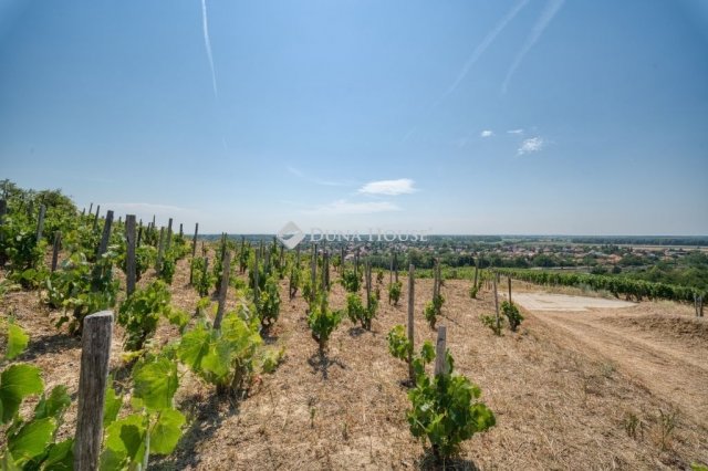 Eladó mezogazdasagi ingatlan, Tokajban 48.88 M Ft