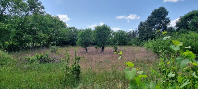 Eladó telek, Helvécián 17.9 M Ft / költözzbe.hu