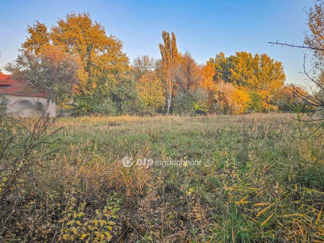 Eladó telek, Gárdonyban 139 M Ft / költözzbe.hu