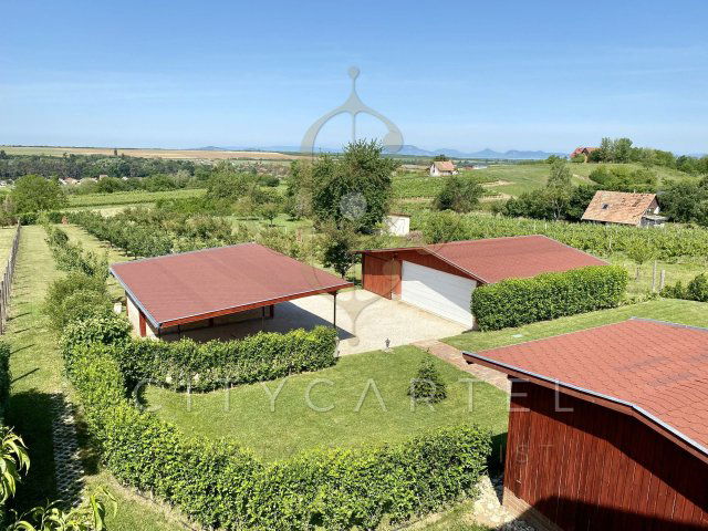 Eladó nyaraló, Szőlősgyörökön 210 M Ft, 4+3 szobás