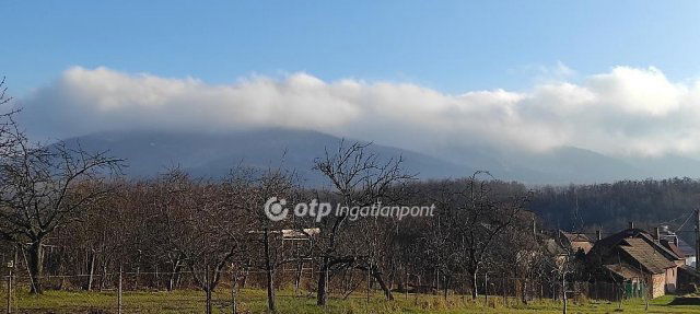 Eladó telek, Pásztón 15 M Ft / költözzbe.hu