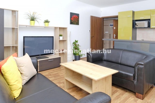 Kiadó téglalakás, albérlet, Pécsett, Anna utcában, 1 szobás