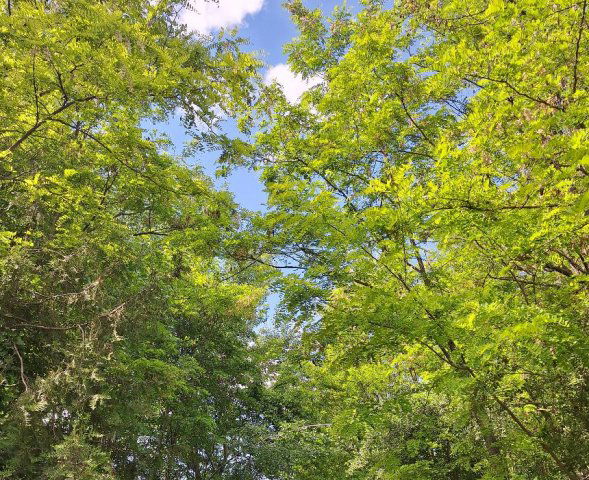 Eladó telek, Kéthelyen 69.9 M Ft / költözzbe.hu