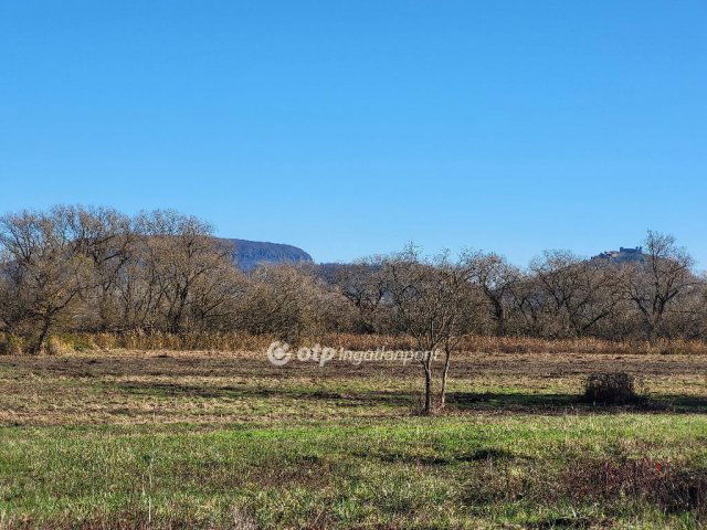 Eladó mezogazdasagi ingatlan, Balatonedericsen 151.221 M Ft