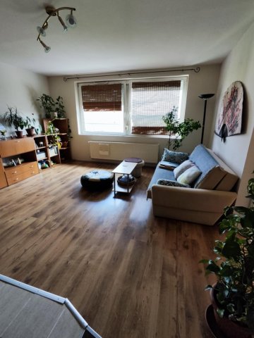 Kiadó téglalakás, albérlet, Pécsett 145 E Ft / hó, 1+1 szobás