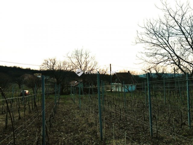 Eladó telek, Pázmándon 23.9 M Ft / költözzbe.hu