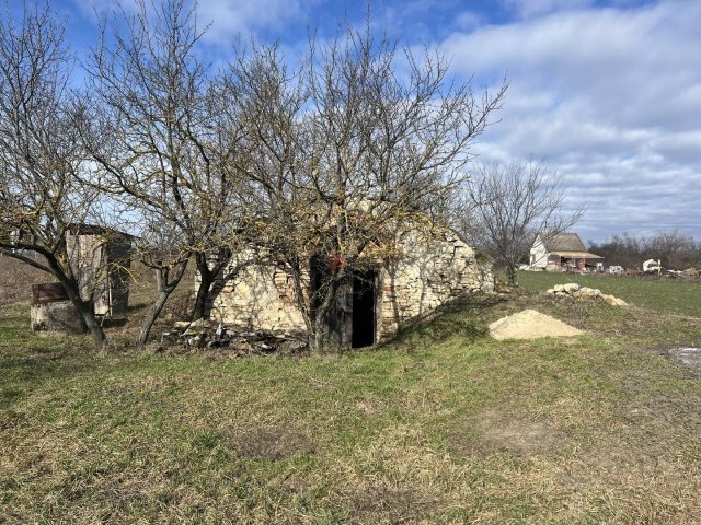 Eladó mezogazdasagi ingatlan, Polgárdin 2.9 M Ft