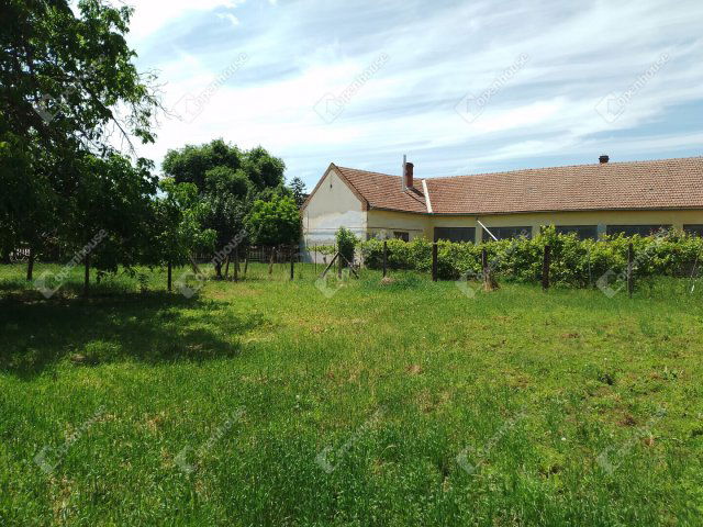 Eladó családi ház, Vésztőn 24.9 M Ft, 4 szobás