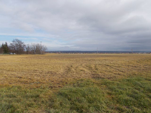 Eladó mezogazdasagi ingatlan, Berhidán 82 M Ft