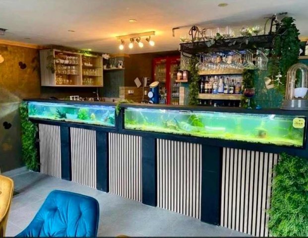 Kiadó téglalakás, albérlet, VII. kerületben, Rottenbiller utcában