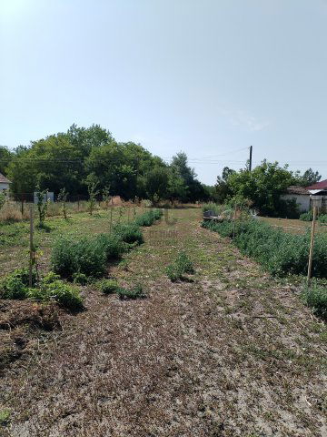 Eladó telek, Törtelen 4.5 M Ft / költözzbe.hu
