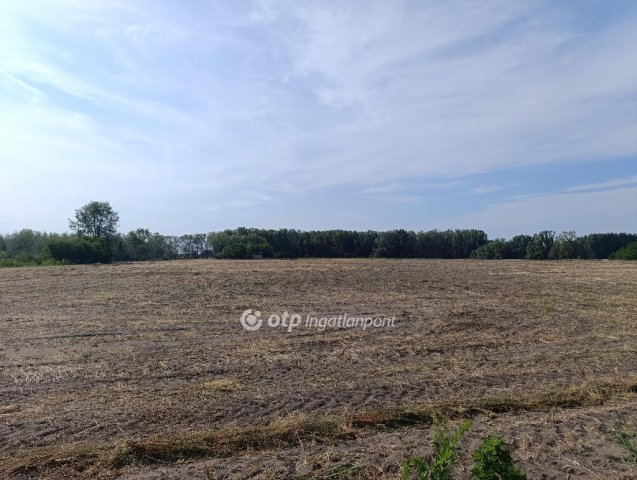 Eladó mezogazdasagi ingatlan, Pusztamérgesen 23.7 M Ft