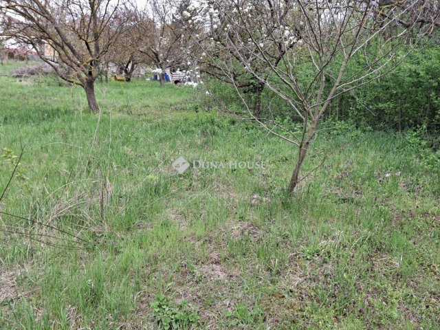 Eladó telek, Sárisápon, Rákóczi Ferenc utcában 21 M Ft