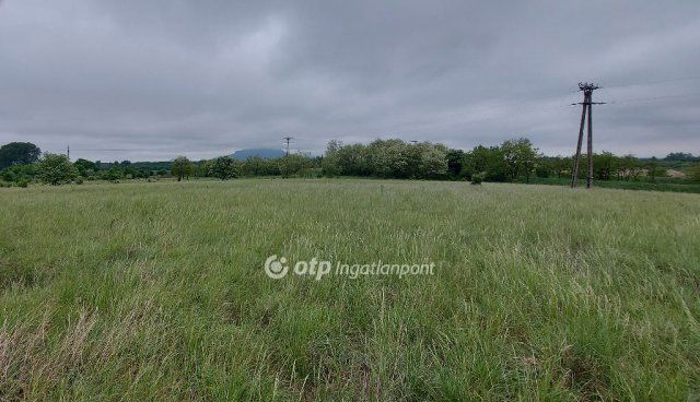 Eladó mezogazdasagi ingatlan, Tapolcán 18.9 M Ft