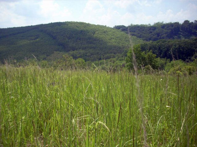 Eladó mezogazdasagi ingatlan, Kehidakustányban 8 M Ft