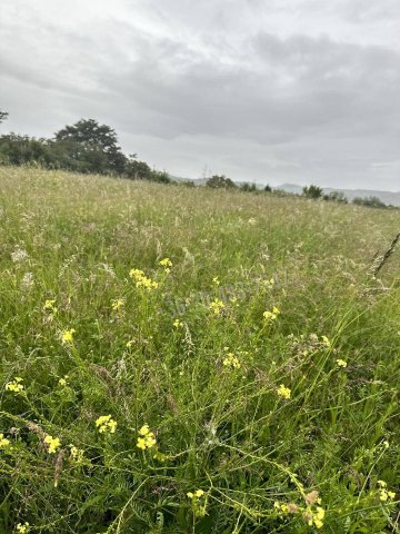 Eladó telek, Törökbálinton 36.7 M Ft / költözzbe.hu
