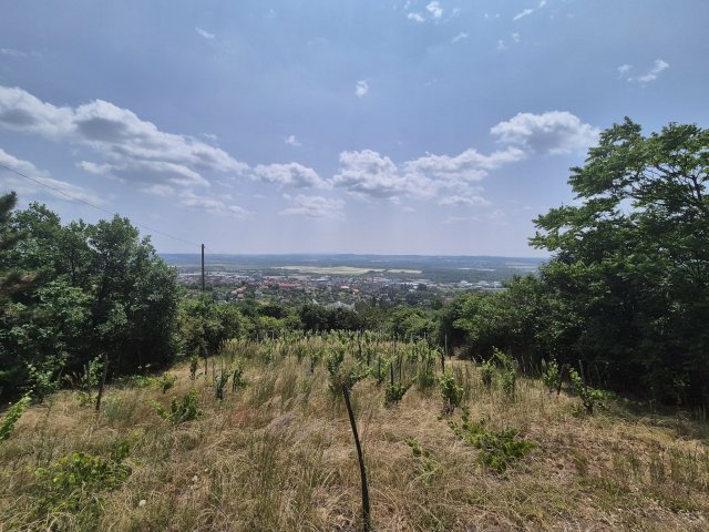 Eladó telek, Pécsett, Rizling dűlőn 4.9 M Ft