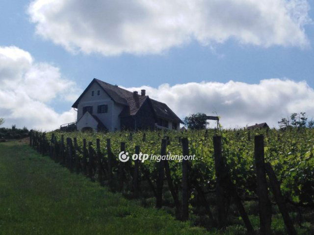 Eladó mezogazdasagi ingatlan, Lesencetomajon 120 M Ft