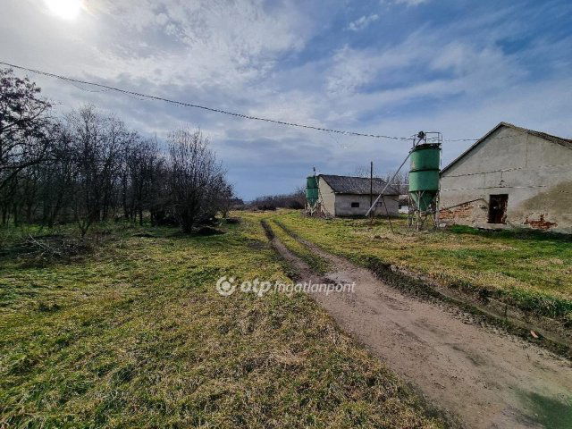 Eladó ipari ingatlan, Mezőfalván 98 M Ft / költözzbe.hu