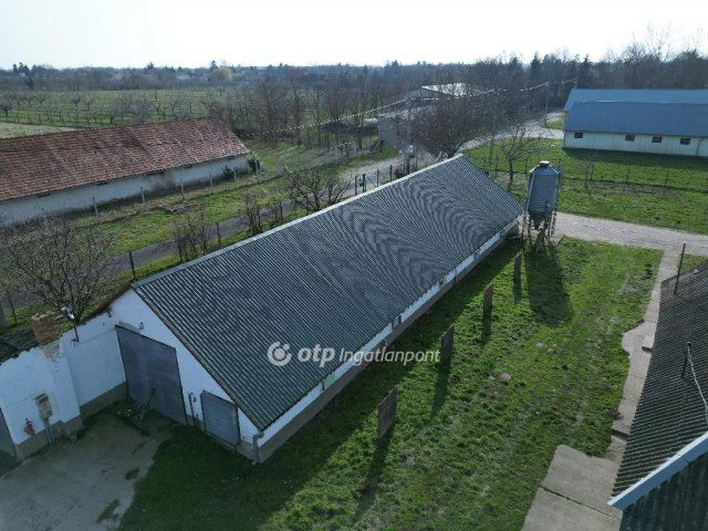 Eladó mezogazdasagi ingatlan, Gárdonyban 90 M Ft