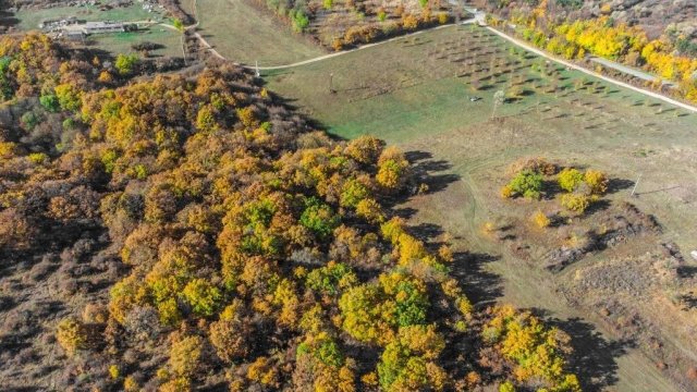 Eladó családi ház, Szentkirályszabadján 500 M Ft