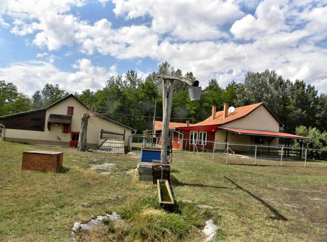Eladó mezogazdasagi ingatlan, Csengelén 48.678 M Ft